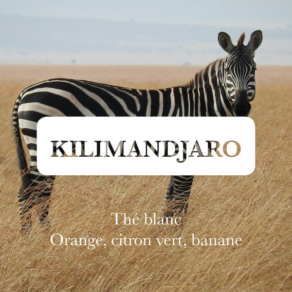 Kilimandjaro